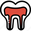 canal, dental, dentist, healthcare, medical, root, tooth 