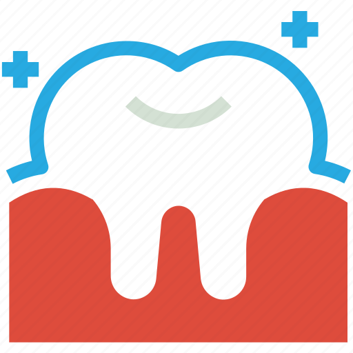 Dental, dentist, enamel, healthcare, medical, tooth icon - Download on Iconfinder