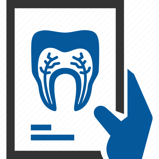 Dental, dentistry, gum, teeth, tooth, x ray, xray icon - Download on Iconfinder