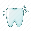 dental, stomatology, teeht, tooth