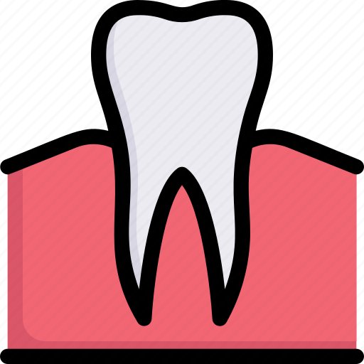 Dental care, dentist, gum, health, molar, root, tooth icon - Download on Iconfinder