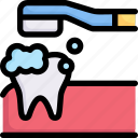 cleaning, dental care, dentist, health, tooth, tooth brushing, toothbrush