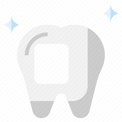 Tooth, dentist, dental, care, teeth, hygiene icon - Download on Iconfinder