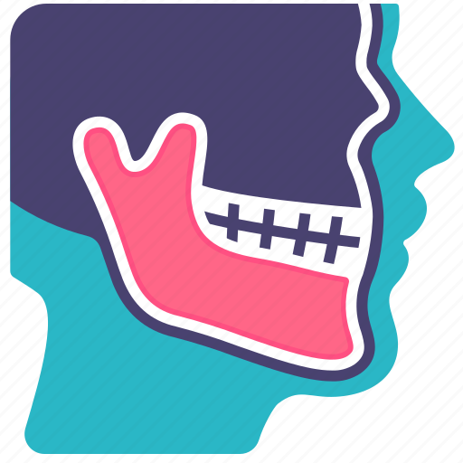 Body, bone, checking, dental, jaw, ray, x icon - Download on Iconfinder