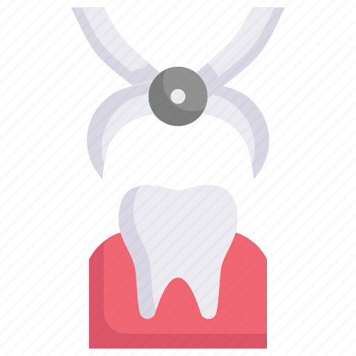 Clinic, dental care, dentist, extraction, forceps, health, tooth icon - Download on Iconfinder