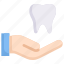 care, dental care, dentist, hand, health, hold tooth, tooth 
