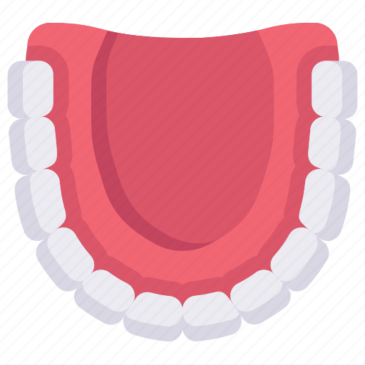 Artificial teeth, dental care, dentist, denture, health, jaw top view, tooth icon - Download on Iconfinder