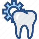 dental, dentist, dentistry, oral hygiene, teeth, tooth, tooth setting