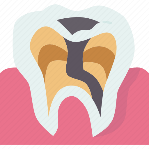Tooth, root, canal, infection, bacterial icon - Download on Iconfinder