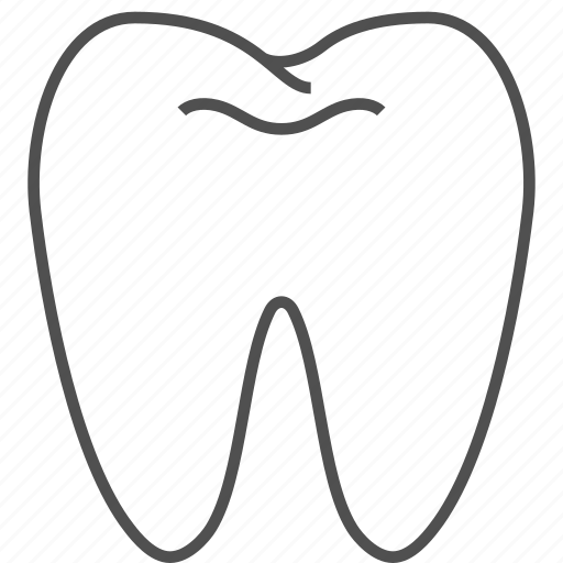 Care, dentist, health, medical, tooth icon - Download on Iconfinder