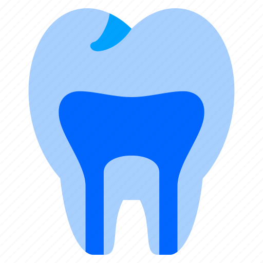 Root, canal, tooth, teeth icon - Download on Iconfinder