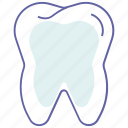 dental care, dentist, dentistry, oral cavity, teeth, tooth, whiteteeth