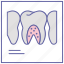 dental care, dentist, dentistry, stomatology, tooth x ray, x ray machine 
