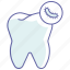 dental care, dentistry, oral cavity, teeth, tooth, tooth germs, whiteteeth 