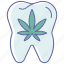 cannabis teeth, dentist, drugged tooth, marijuana teeth, tooth decay, tooth loss 