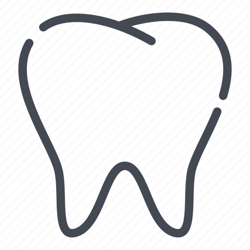 Dental, dentist, dentistry, stomatology, teeth, tooth icon - Download on Iconfinder