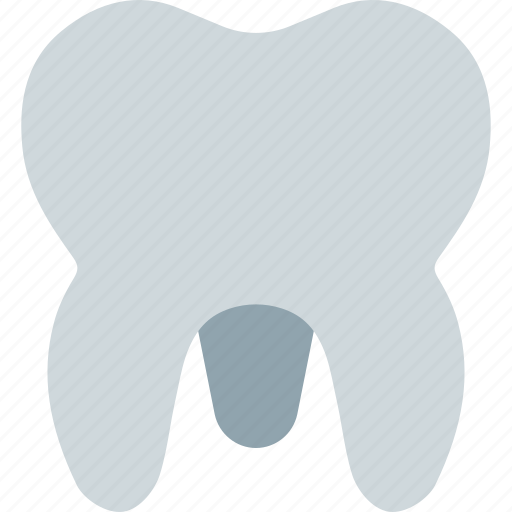 Molar, medical, dentistry icon - Download on Iconfinder