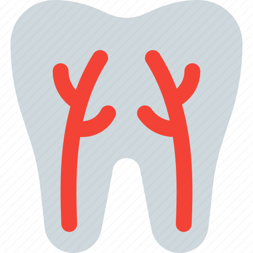 Root, canal, medical, dentistry icon - Download on Iconfinder