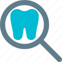search, tooth, medical, dentistry