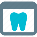 tooth, browser, medical, dentistry