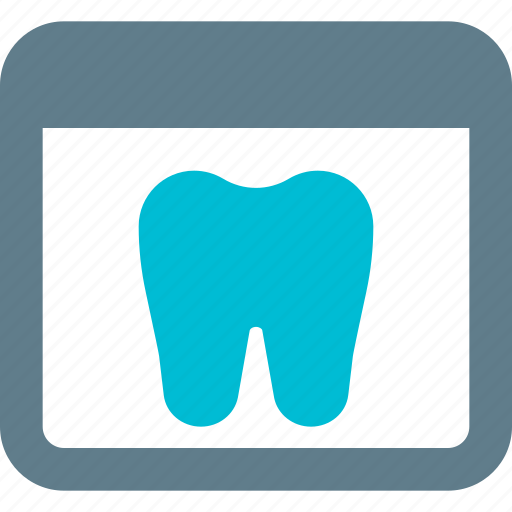 Tooth, browser, medical, dentistry icon - Download on Iconfinder