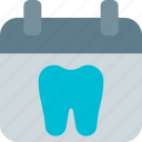 tooth, calendar, medical, dentistry