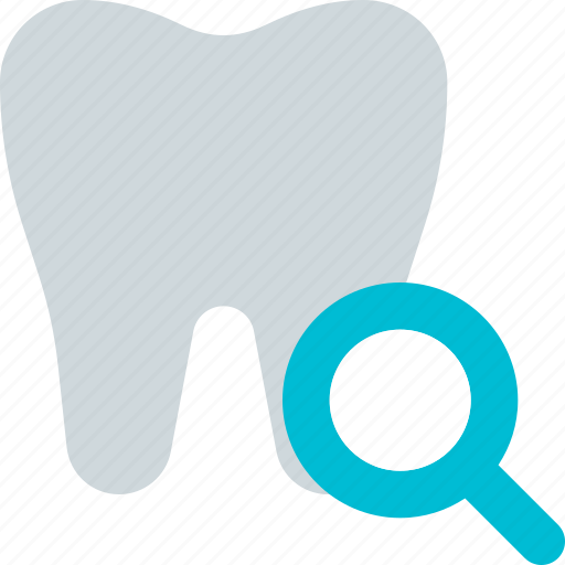 Tooth, search, medical, dentistry icon - Download on Iconfinder