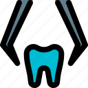 dental, removal, medical, dentistry