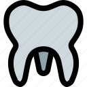 molar, medical, dentistry