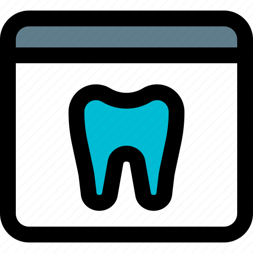 Tooth, browser, medical, dentistry icon - Download on Iconfinder