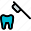 tooth, brush, medical, dentistry 