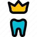 tooth, crown, medical, dentistry
