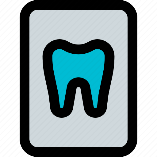 Tooth, file, medical, dentistry icon - Download on Iconfinder