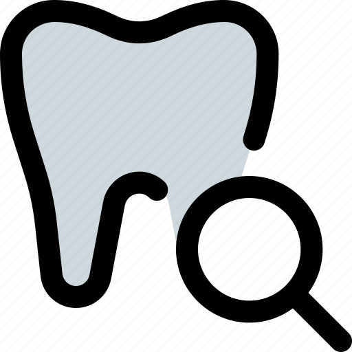 Tooth, search, medical, dentistry icon - Download on Iconfinder