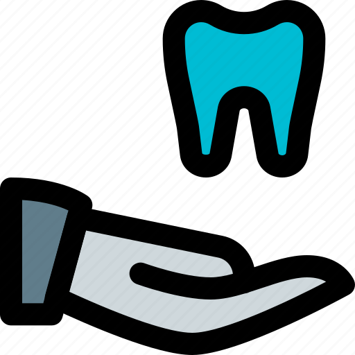Tooth, share, medical, dentistry icon - Download on Iconfinder