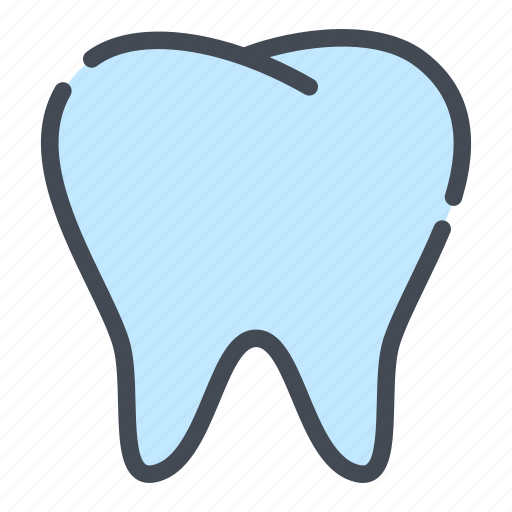 Dental, dentist, dentistry, teeth, tooth icon - Download on Iconfinder