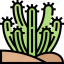 cactus, plant, arid, desert, landscape 