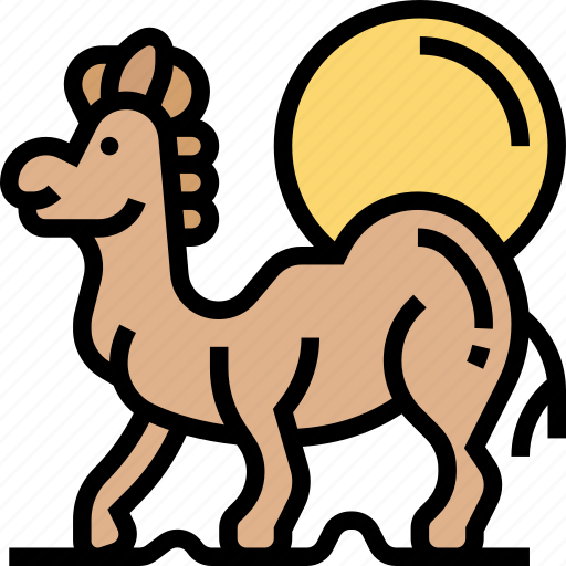 Camel, wildlife, mammal, desert, nature icon - Download on Iconfinder