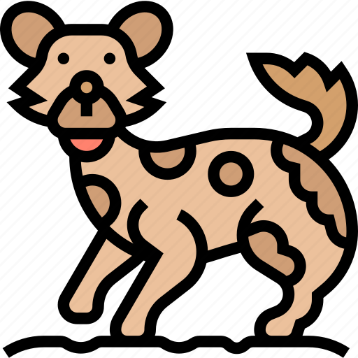Dog, wild, african, mammal, carnivore icon - Download on Iconfinder