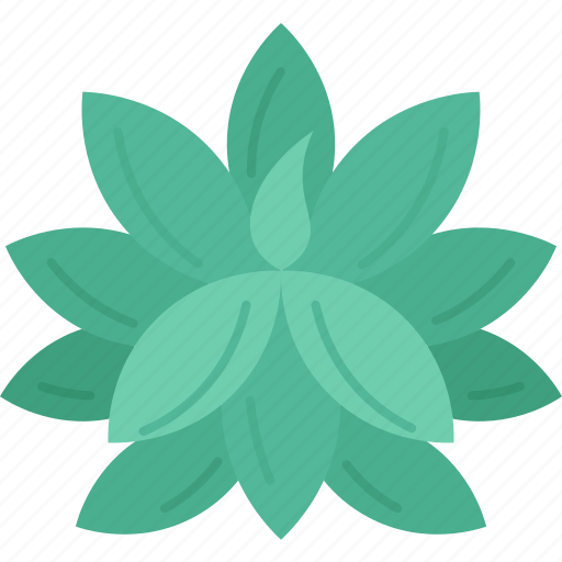 Agave, fox, tail, succulent, perennial icon - Download on Iconfinder