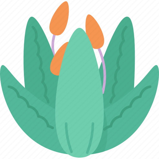 Aloe, vera, succulent, plant, desert icon - Download on Iconfinder