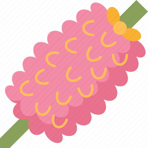 Bottlebrush, flower, plant, desert, garden icon - Download on Iconfinder