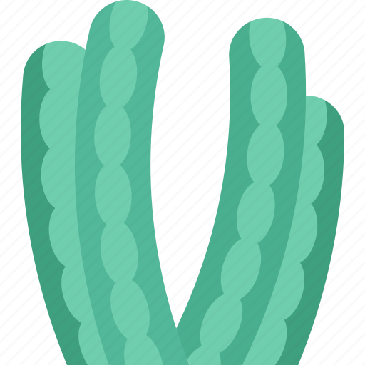 Cactus, organ, pipe, desert, plant icon - Download on Iconfinder