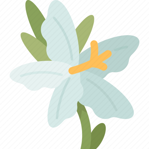 Desert, lily, flower, blooming, tropical icon - Download on Iconfinder