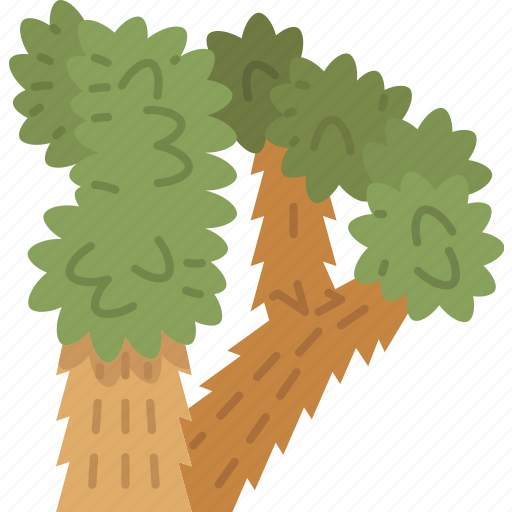 Joshua, tree, yuccas, desert, plant icon - Download on Iconfinder