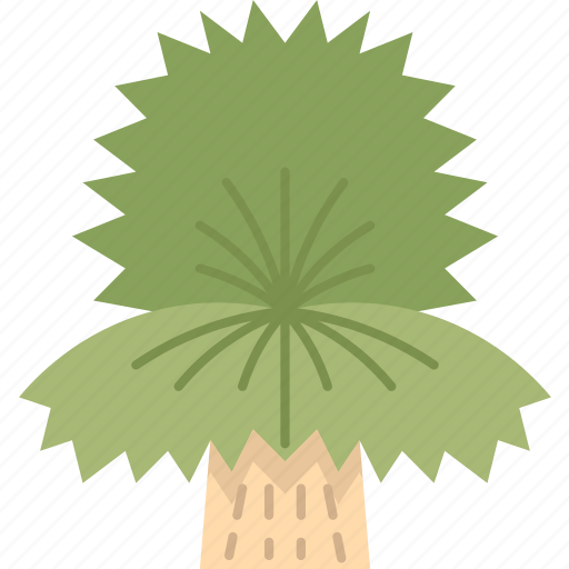 Yucca, beaked, desert, plant, botanical icon - Download on Iconfinder