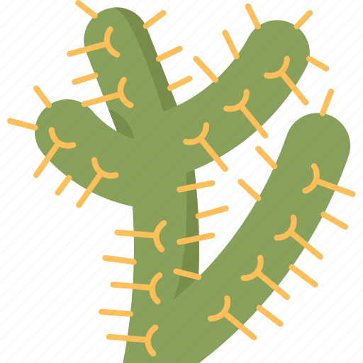 Cactus, cane, cholla, desert, nature icon - Download on Iconfinder