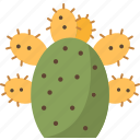 cactus, prickly, pear, succulent, desert