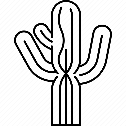 Cactus, saguaro, desert, arid, vegetation icon - Download on Iconfinder
