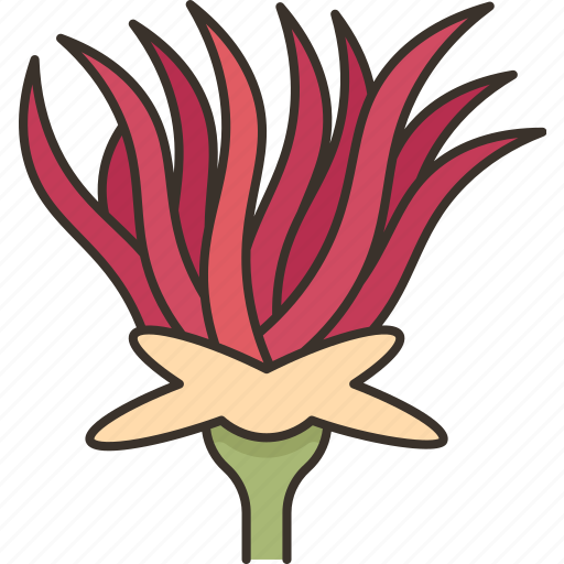 Apache, plume, flower, plant, garden icon - Download on Iconfinder